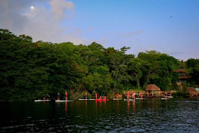 Sunrise Paddle Quest: Embrace the Dawn on Bacalar's Waters - The Black Cenote and the morning pause