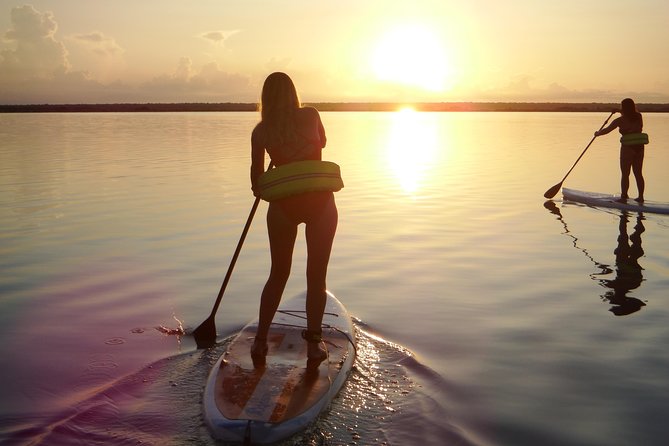 Sunrise Tour (Stand Up Paddle or Kayak) - Guides, equipment, and the small-group feel
