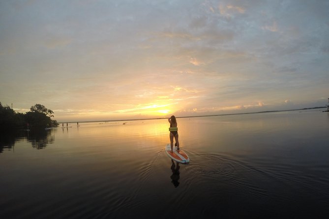 Sunrise Tour (Stand Up Paddle or Kayak) - Pirate Channel: a stop with a sense of place