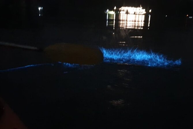 Sunset & Bioluminescent Plankton Kayaking Lan Ha bay - Is $43 a good value?