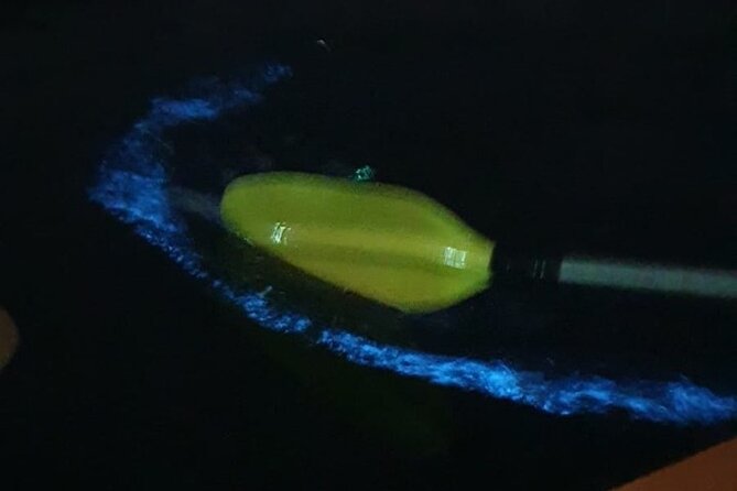 Sunset & Bioluminescent Plankton Kayaking Lan Ha bay - Cai Beo floating village and its floating house