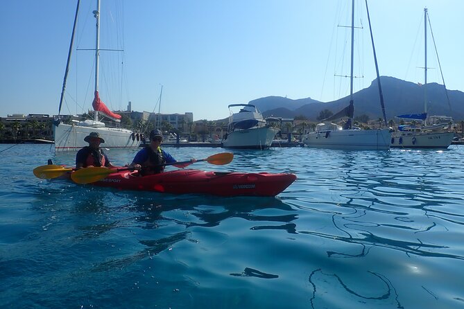 Sunset Dolphin Kayak Tour at Golfo Aranci - The Three-Hour Route From Via Libertà