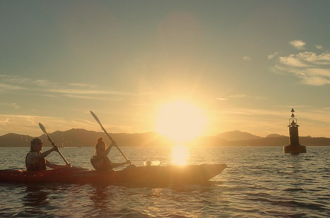 Sunset Dolphin Kayak Tour at Golfo Aranci - The Sunset Mood and Wildlife Question