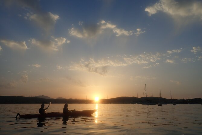 Sunset Dolphin Kayak Tour at Golfo Aranci - What the $63.61 Price Covers