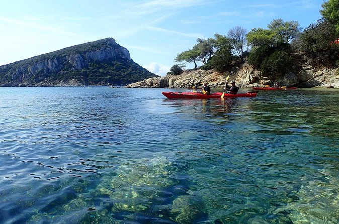 Sunset Dolphin Kayak Tour at Golfo Aranci - What to Bring and How to Prepare