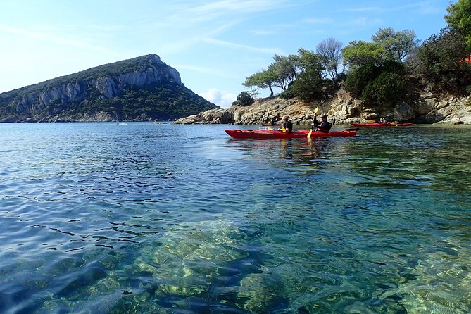 Sunset Dolphin Kayak Tour at Golfo Aranci - Isola di Figarolo and Cala Moresca