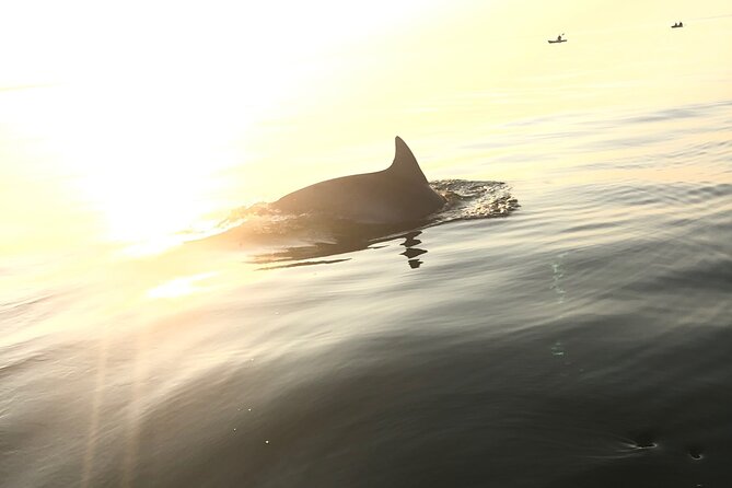 Sunset Dolphin Kayak Tours - The Chesapeake Bay Bridge-Tunnel at Sunset