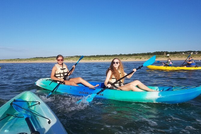 Sunset Dolphin Kayak Tours - Seabirds and Other Wildlife