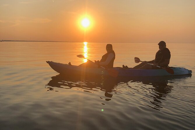 Sunset Dolphin Kayak Tours - Is the $68 Price Worth It?