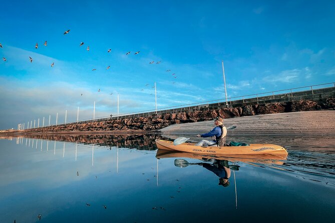 Sunset Kayak Tour in Santa Barbara Harbor (2 Hours) - Guides Add More Than Paddle Instructions