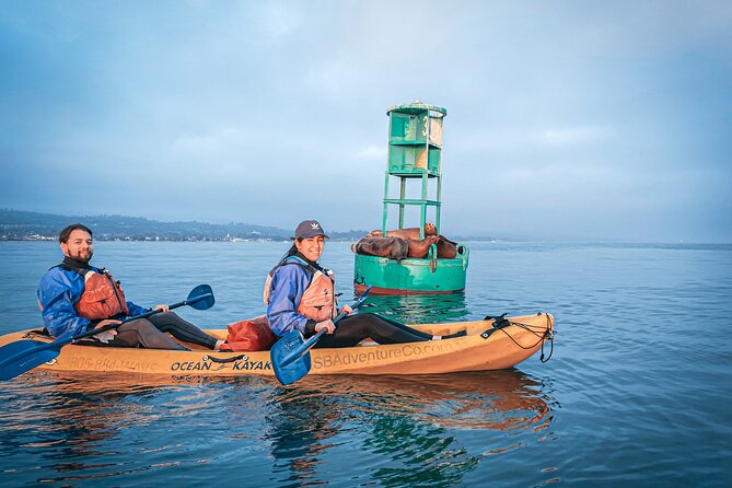 Sunset Kayak Tour in Santa Barbara Harbor (2 Hours) - Timing, Parking, and the Meeting Point