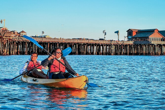 Sunset Kayak Tour in Santa Barbara Harbor (2 Hours) - Wildlife Is a Bonus, Not a Guarantee