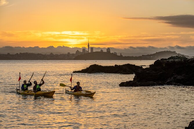 Sunset kayak tour to Rangitoto Island - Why this Rangitoto trip feels different from a standard Auckland tour