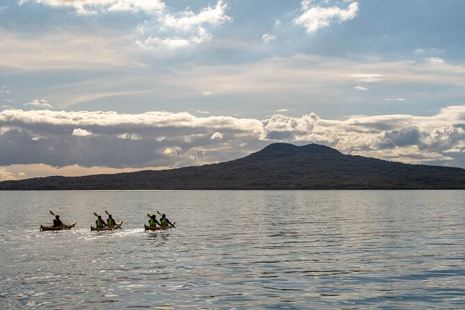 Sunset kayak tour to Rangitoto Island - The return paddle is the most unusual part