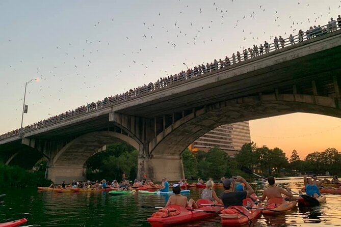 Sunset Skyline Kayak Tour - Starting at Lone Star Kayak Tours on East Avenue
