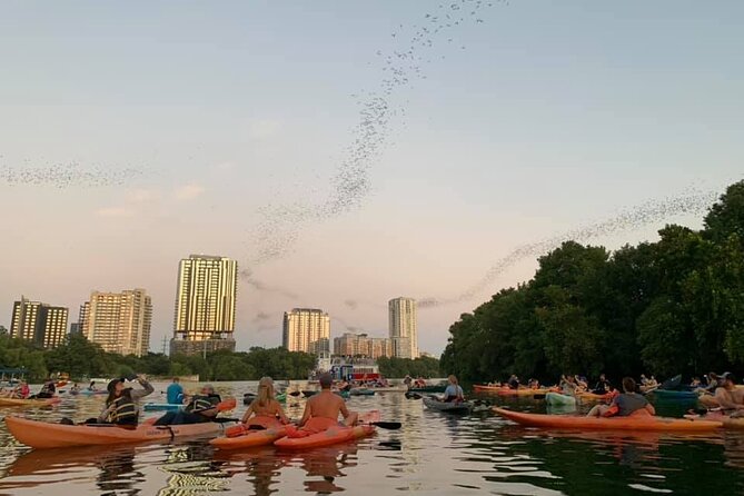 Sunset Skyline Kayak Tour - Who will enjoy this kayak tour most?