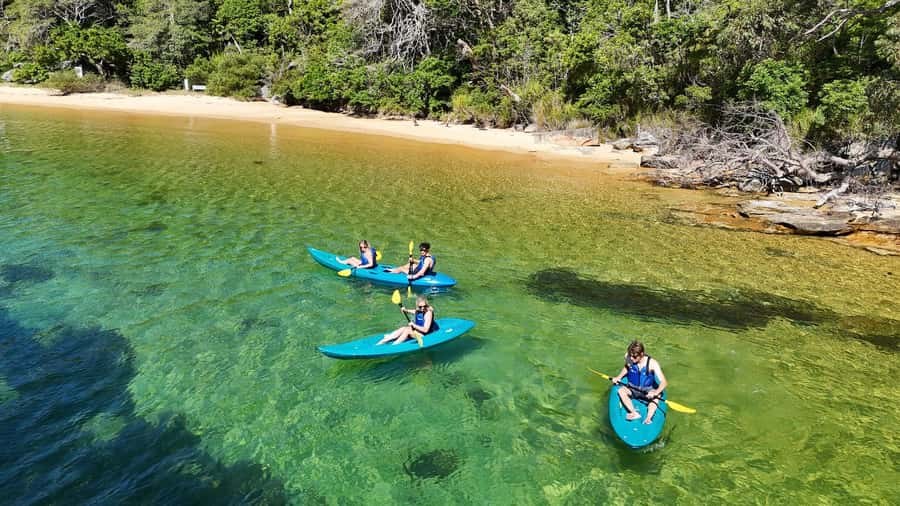 Sydney: Guided Kayak Taster Tour from Manly - Why Store Beach makes this Manly tour special