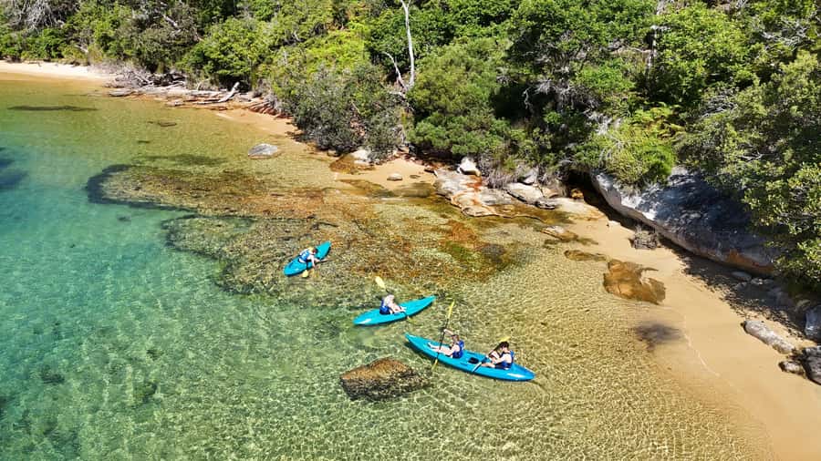 Sydney: Guided Kayak Taster Tour from Manly - Getting to Manly Sailing from the ferry