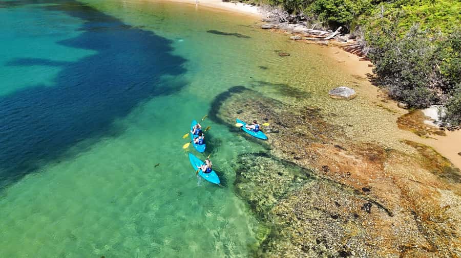 Sydney: Guided Kayak Taster Tour from Manly - Store Beach: swim, rest, or keep exploring