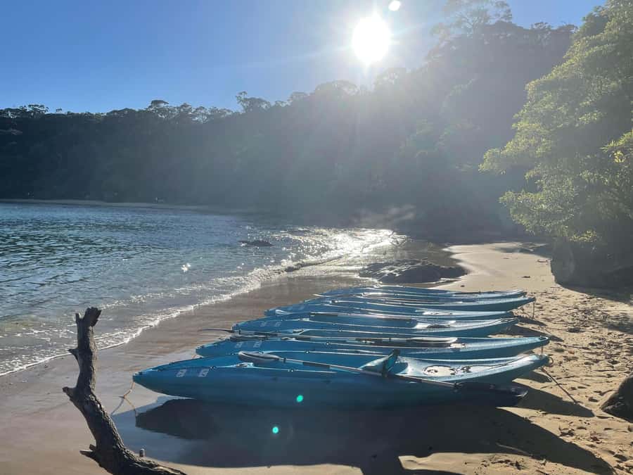 Sydney: Guided Kayak Taster Tour from Manly - The return trip: paddle or take the tow
