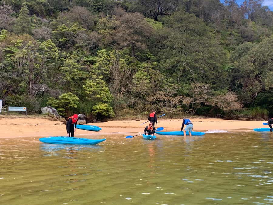 Sydney: Guided Kayak Taster Tour from Manly - Practical preparation for a dry, comfortable finish