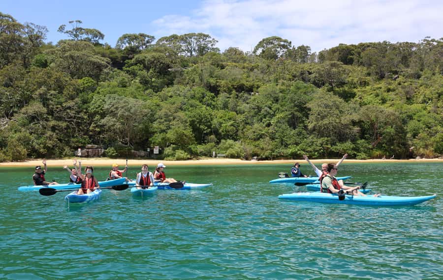 Sydney: Guided Kayak Tour of Manly Cove Beaches - Key points at a glance
