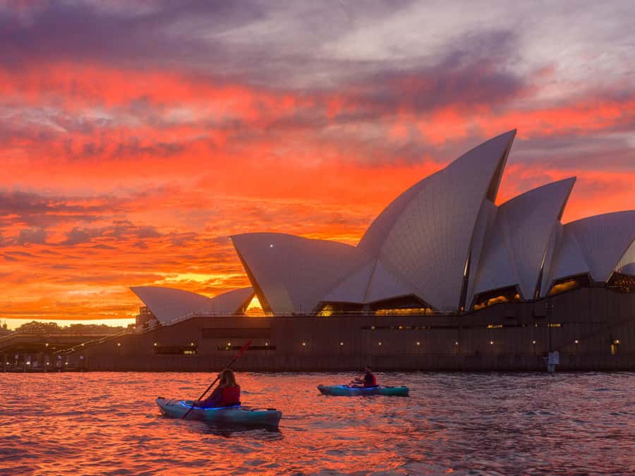 Sydney: Harbour Sunrise Kayak Tour - Wildlife viewing is possible, not promised