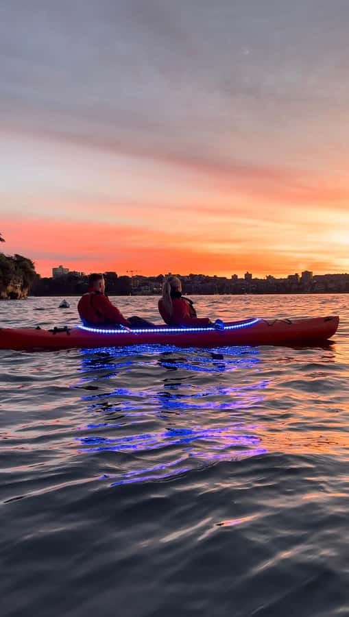 Sydney: Sunrise Kayak, Opera House & Under Harbour Bridge - Under the Harbour Bridge at sunrise