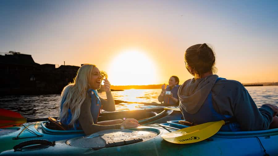 Sydney Sunrise Kayak Tour on Sydney Harbour - What the $106 price includes