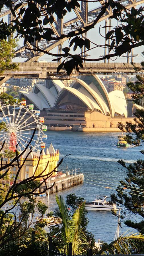 Sydney: Sunset Kayak - Opera & Harbour Bridge Tour (5p. max) - The Opera House at sunset