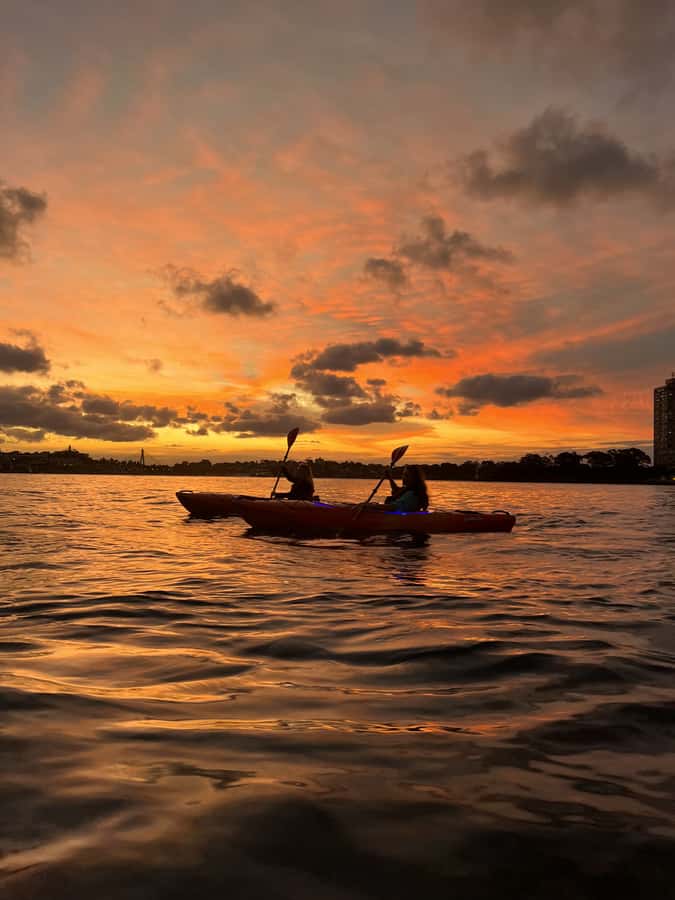 Sydney: Sunset Kayak Tour on Sydney Harbour - Seeing the Harbour Bridge from below