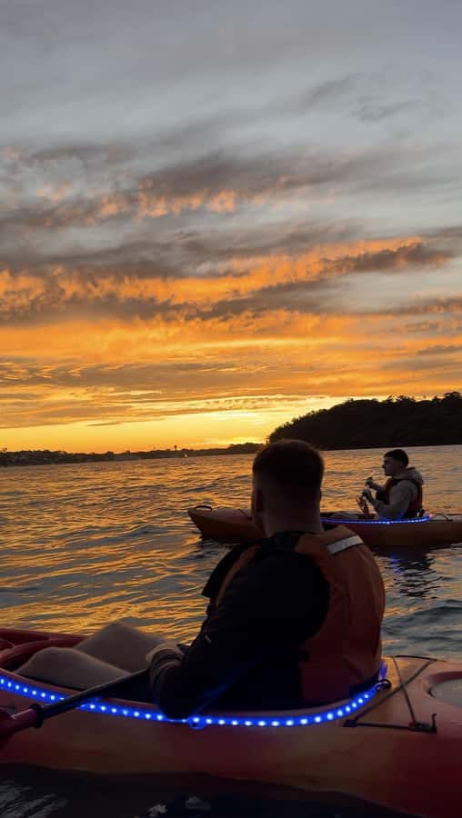 Sydney: Sunset Kayak Tour on Sydney Harbour - What the guides add to the outing