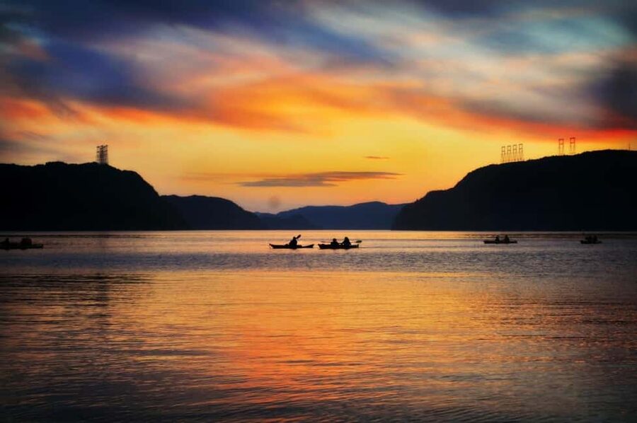 Tadoussac: Guided Sea Kayaking Adventure - Wildlife Along the Water