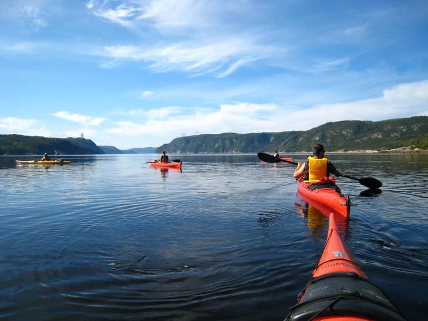 Tadoussac: Guided Sea Kayaking Adventure - What You Pay for at $58