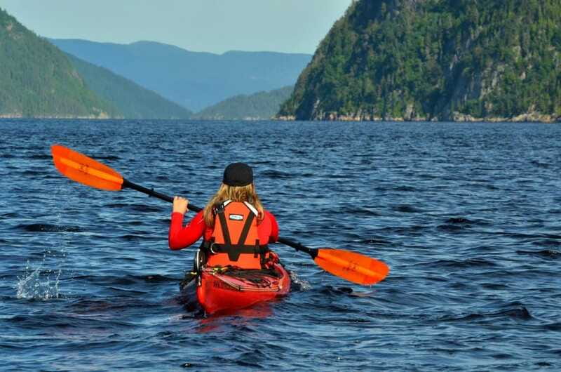 Tadoussac: Guided Sea Kayaking Adventure - Who Will Enjoy This Activity Most?