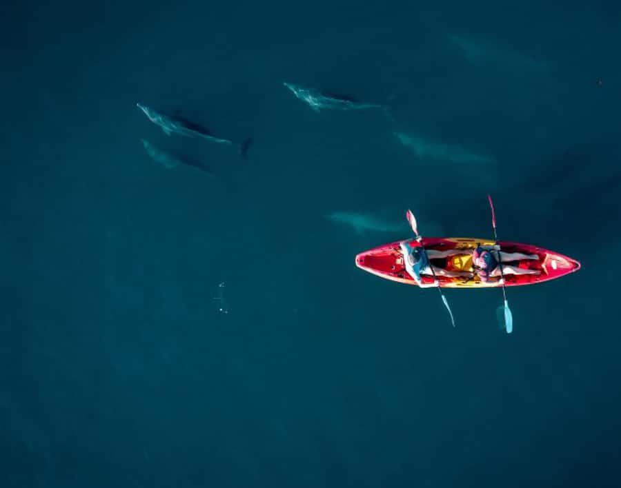 Tamarin: Guided Kayak Tour with Dolphins - The Tamarin River alternative