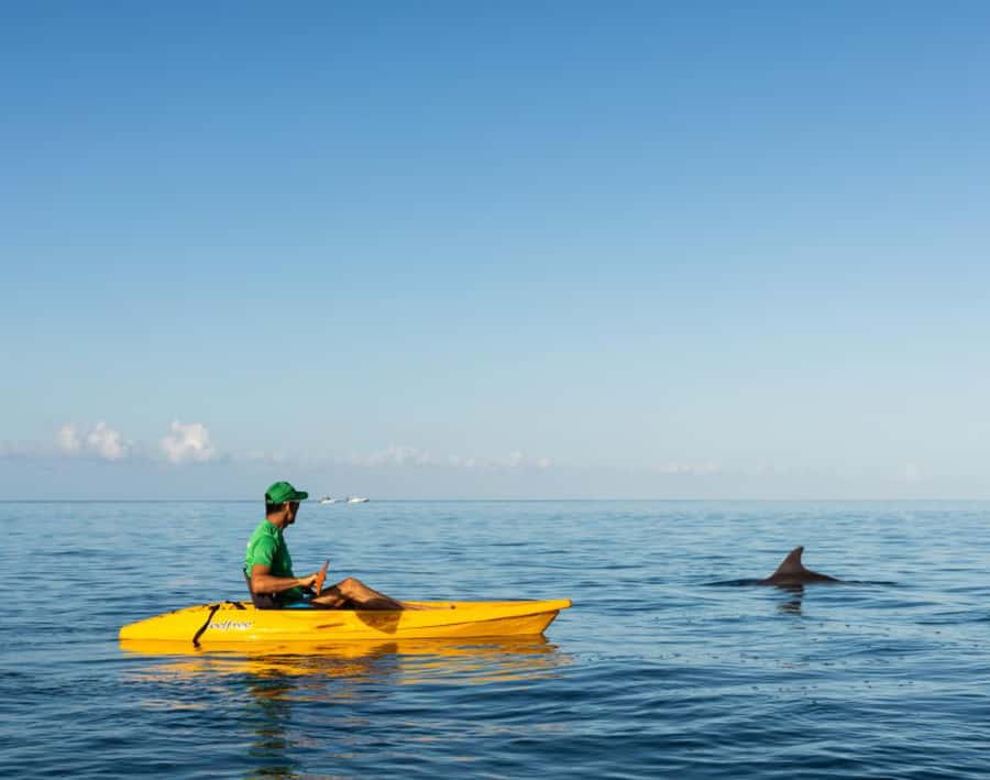 Tamarin: Guided Kayak Tour with Dolphins - Kayaking beside wild dolphins