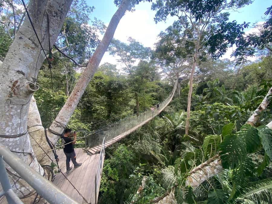 Tambopata: Zipline Adventure & Kayak to Monkey Island - Who should book this Amazon day trip?