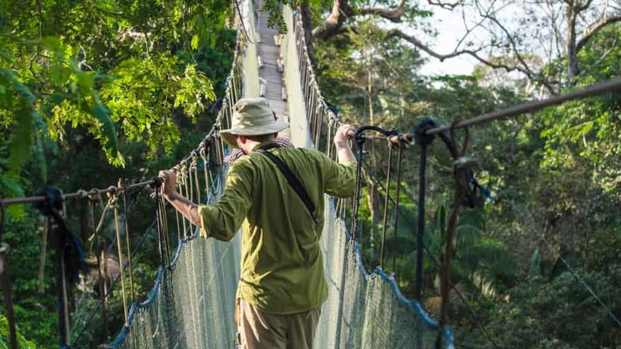 Tambopata: Zipline Adventure & Kayak to Monkey Island - Two 190-meter zipline runs