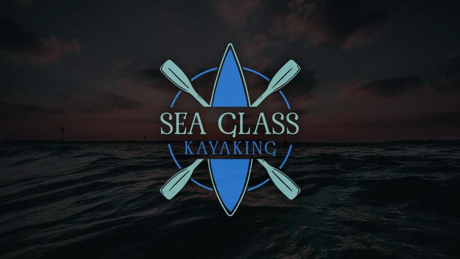 Tampa: Clear Glowing Kayak Nighttime Tour - Paddling the Hillsborough River after dark