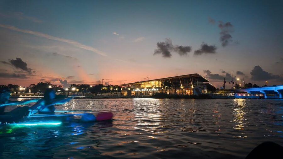Tampa: Clear Glowing Kayak Nighttime Tour - Wildlife on a dark Florida river