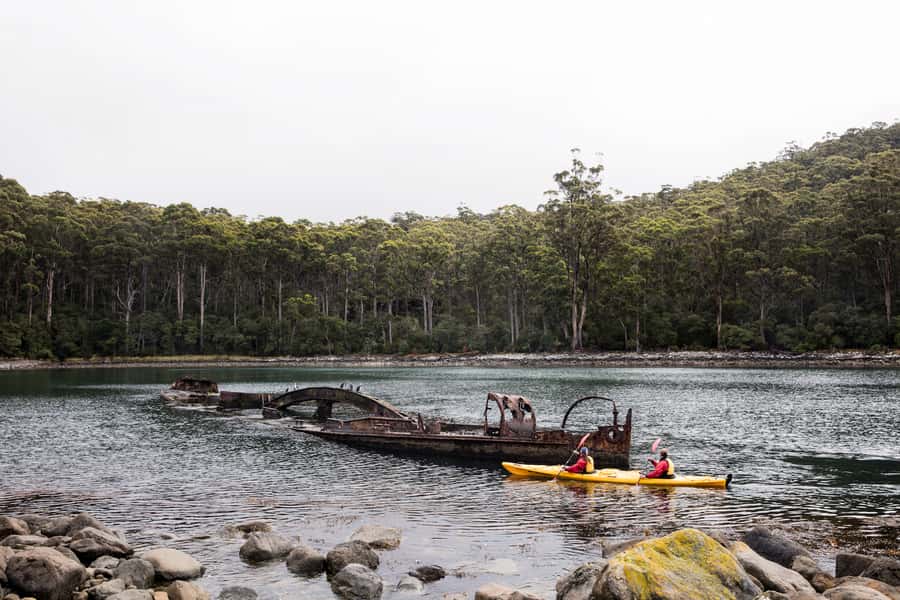 Tasman Peninsula Full-Day Sea Kayak Excursion - Why this sea kayaking day is worth your time