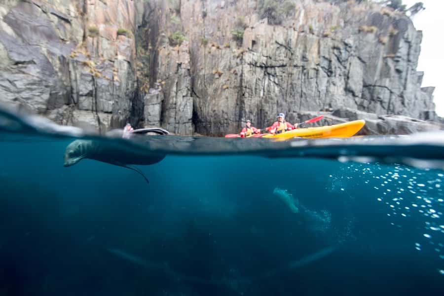 Tasman Peninsula Full-Day Sea Kayak Excursion - Getting ready at Fortescue Bay