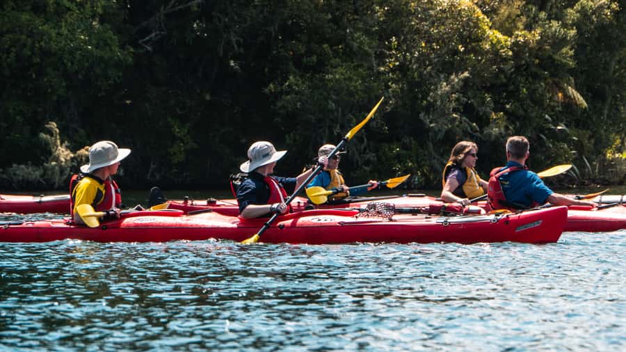 Tauranga: Daytime Scenic Lake McLaren Kayak Tour - Calm water and a quiet corner of Tauranga