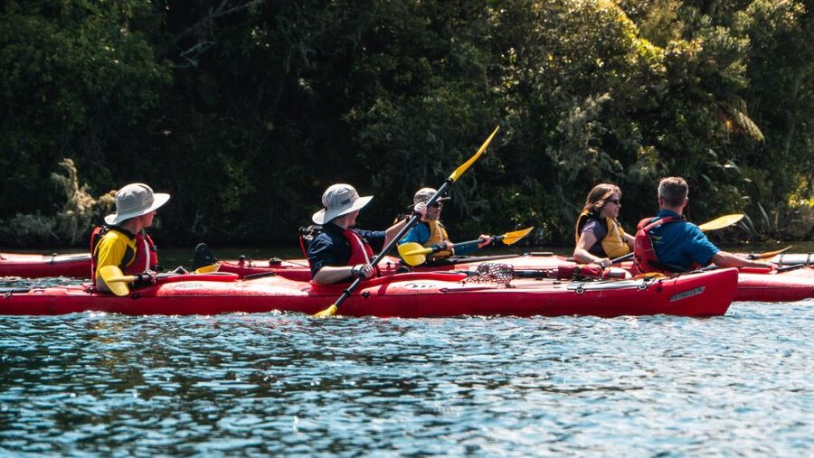 Tauranga: Daytime Scenic Lake McLaren Kayak Tour - Why the $104 price can make sense