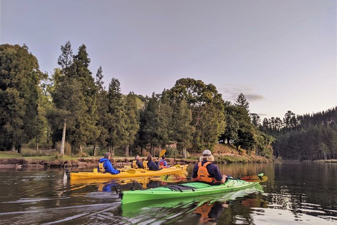 Tauranga: Evening Glowworm Kayak Tour - Lake McLaren turns a glowworm trip into a full evening