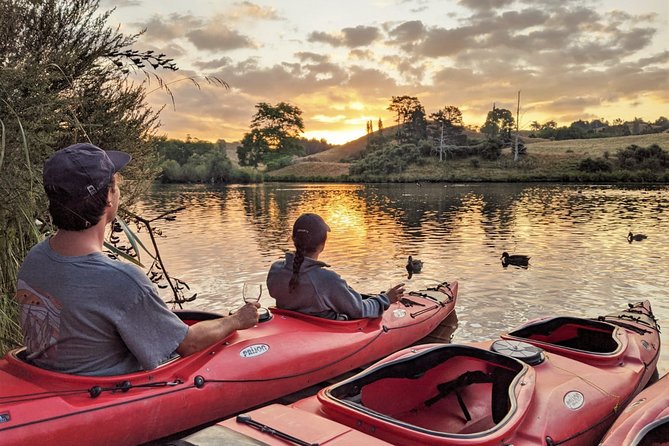 Tauranga: Evening Glowworm Kayak Tour - What the kayak route feels like after sunset