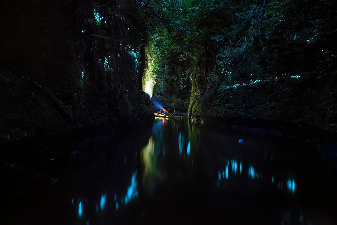 Tauranga: Evening Glowworm Kayak Tour - Guides make a bigger difference than the snacks