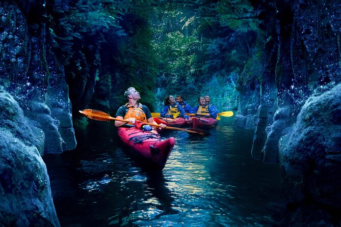 Tauranga: Evening Glowworm Kayak Tour - Getting ready for a night on the water