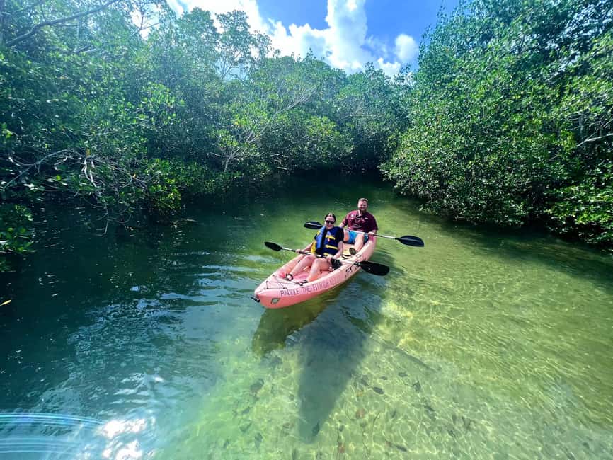 Tavernier, FL: Mangrove and Manatees Guided Kayak Eco Tour - What the Tavernier Creek setting gives you